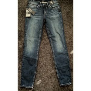 Sliver Suki Skinny Jeans